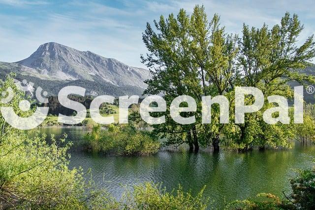 Lake Tree Mountain Nature