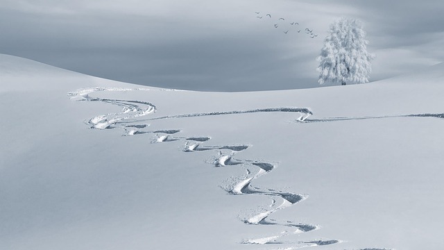 Wintry Snow Backcountry Skiiing
