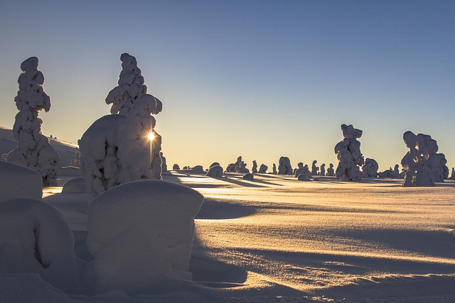Lapland Winter Snow Landscape