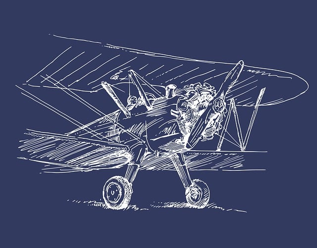 Plane Aircraft Transport Fly