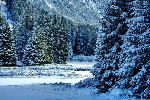 Winter Snow Mountains