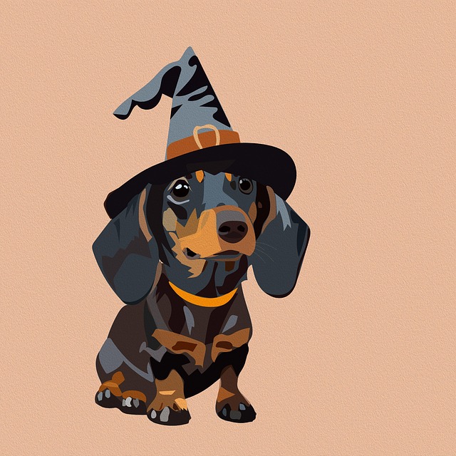 Dachshund Halloween Witchs Hat