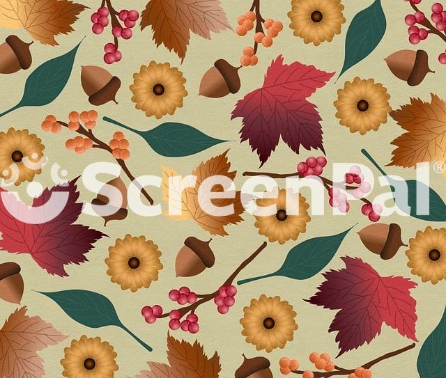 Autumn Leaves Colours Season