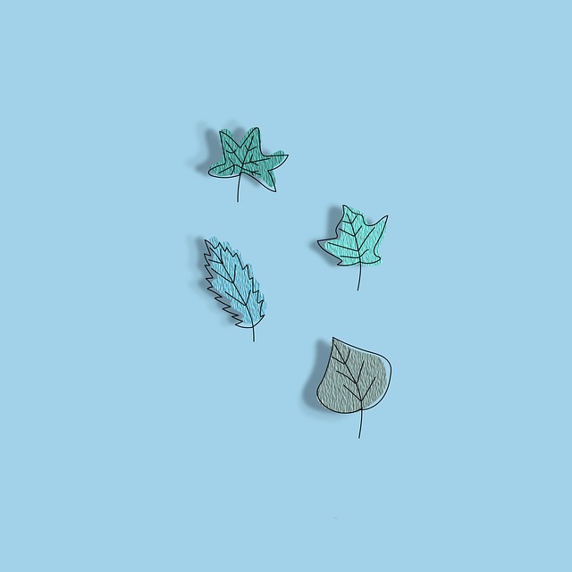 Leaves Drawing Boho Bohemian