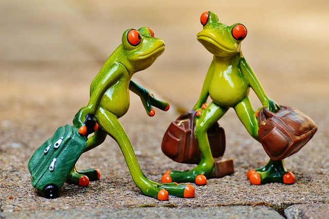 Frogs Fun Travel Suitcase