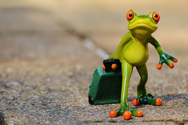 Frog Farewell Travel Suitcase