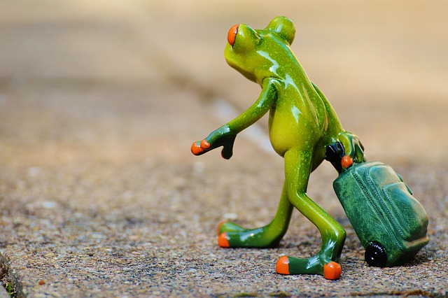 Frog Farewell Travel Suitcase