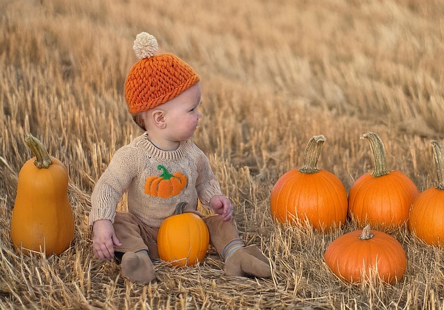 Little Boy Fall Autumn Pumpkins