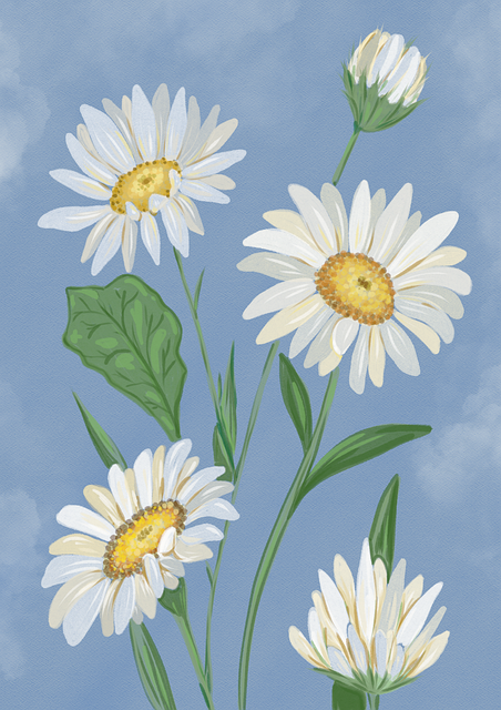 Flower Blossoms Plant Nature