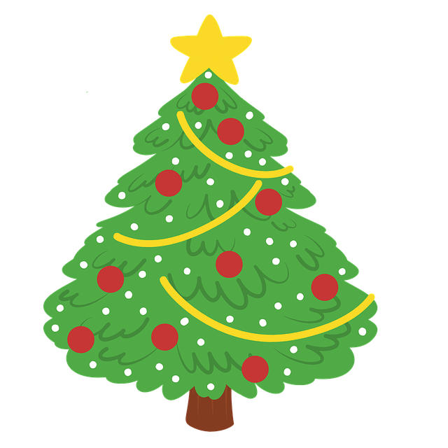 Christmas Tree Nature Conifer
