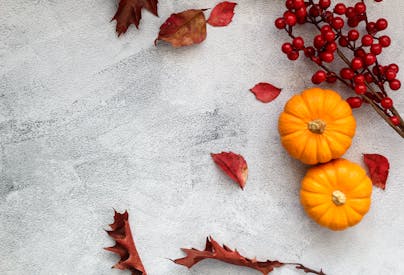 Pumpkins Fallen Leaves And Rowan Berries On Concrete