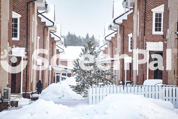 Christmas Tree In A Snow Covered Neighborhood