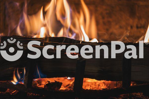 Burning Wood On Fire Pit