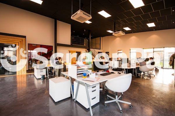 People Sitting On Chairs Beside Their Desks In An Office