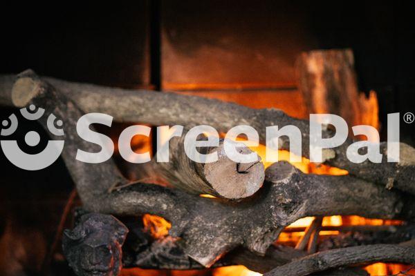 Branches In The Fireplace