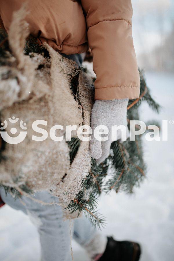 Close Up Of Woman Holding A Coniferous Tree Branch Outdoors In Winter