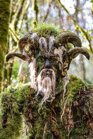 Man In A Costume Made Of Earth And Moss