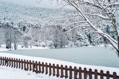 Frozen Lake Near Woods In Winter