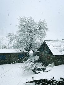 View Of Houses In The Countryside During A Snowfall