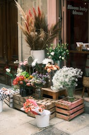 Colorful Flowers Near Flower Shop