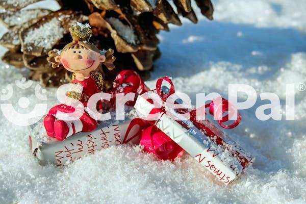 Female Doll On Snow