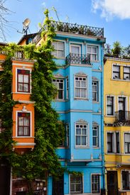 A Colorful Building With Vines Growing On It