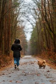 Woman Walking Dog On Forest Path In Fall