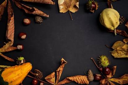 From Above Shot Of Dried Leaves And Yellow Fruit