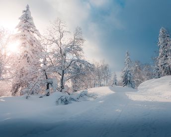 Serene Snowy Landscape At Sunrise