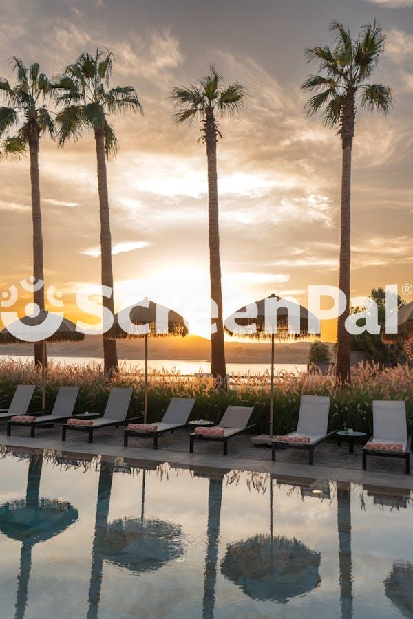 Scenic Sunset By Tropical Pool With Palm Trees