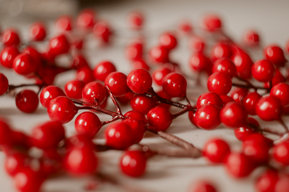 Vibrant Red Berries In A Vintage Style