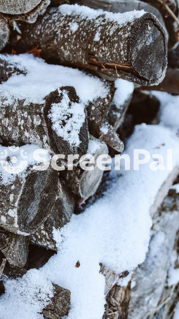 Snow Covered Firewood In Winter Setting