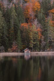 Serene Cabin By Autumn Forest Reflected In Lake