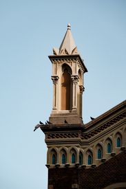 Gothic Architecture Tower With Perched Birds