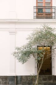 Elegant White Facade With Balcony And Tree