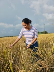Young Woman Enjoying A Day In Kuttanad S Rice Fields