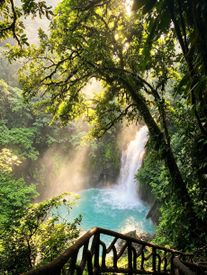 Scenic Waterfall In Lush Costa Rican Jungle
