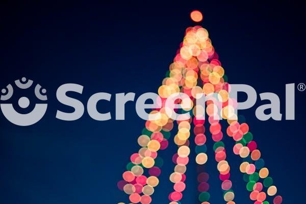 Bokeh Photography Of Lights