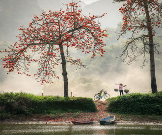 Idyllic Rural Scene With Blossoming Trees And River