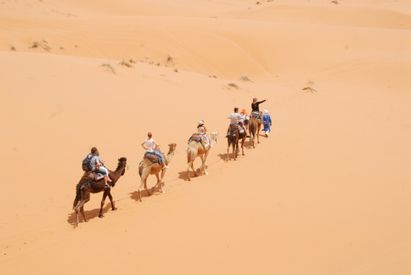 Camel Caravan Trekking Through Sahara Desert