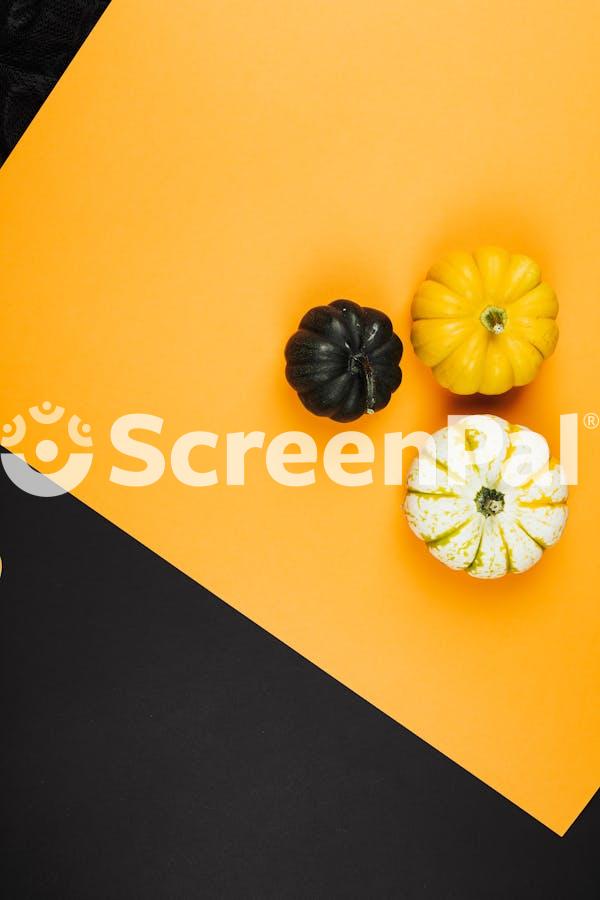 Close Up Of Three Pumpkins