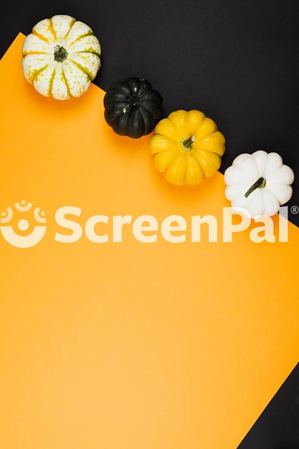 Colorful Pumpkins On Yellow And Black Background