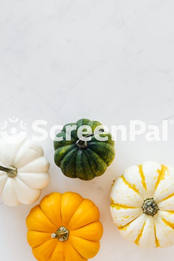 Pumpkins On White Background