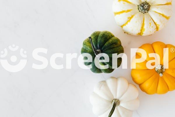Colorful Pumpkins On White Background