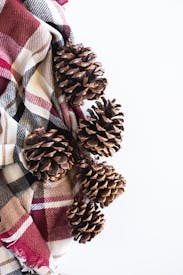 Brown Pine Cone On Red And White Checkered Textile