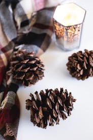 Brown Pine Cone On White Table