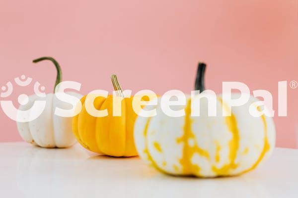 Yellow And White Pumpkins On A White Table
